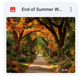 End of Summer Path Background Bundle