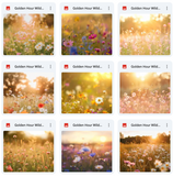 Ultimate Golden Hour Wildflowers Background Bundle