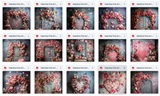 Ultimate Valentine Fine Art Portrait Background Bundle