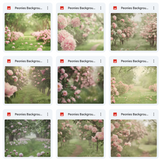 Ultimate Peonies Background Bundle