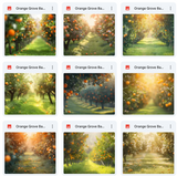 Ultimate Orange Grove Background Bundle