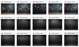 Ultimate Wallpaper Walls Background Bundle