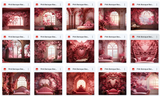 Ultimate Pink Baroque Room Background Bundle