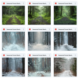 Ultimate Seasonal Forests Background Bundle