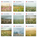 Ultimate Overcast Meadows Background Bundle