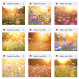 Ultimate Golden Hour Wildflowers Background Bundle