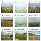 Ultimate Overcast Meadows Background Bundle