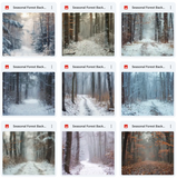 Ultimate Seasonal Forests Background Bundle