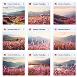 Ultimate Heather Fields Background Bundle