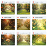 Ultimate Orange Grove Background Bundle