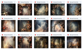 Ultimate Baroque Portrait Background Bundle - Meg Bitton Productions