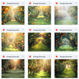 Ultimate Orange Grove Background Bundle