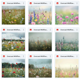 Ultimate Overcast Meadows Background Bundle