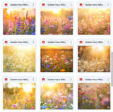 Ultimate Golden Hour Wildflowers Background Bundle