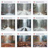 Ultimate Seasonal Forests Background Bundle