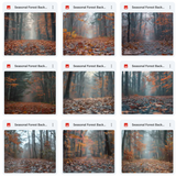 Ultimate Seasonal Forests Background Bundle