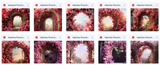 Ultimate Valentine Floral Arches Background Bundle