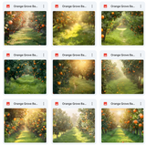 Ultimate Orange Grove Background Bundle