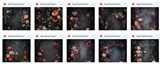 Grand Dark Floral Portrait Background Bundle - Meg Bitton Productions