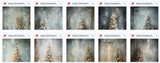 Ultimate Classic Christmas Portrait Background Bundle - Meg Bitton Productions