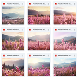 Ultimate Heather Fields Background Bundle