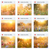 Ultimate Golden Hour Wildflowers Background Bundle