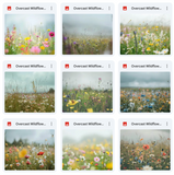 Ultimate Overcast Meadows Background Bundle