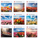 Ultimate Tulip Fields Background Bundle