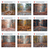 Ultimate Seasonal Forests Background Bundle