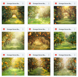 Ultimate Orange Grove Background Bundle