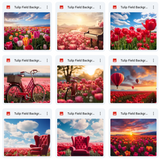 Ultimate Tulip Fields Background Bundle