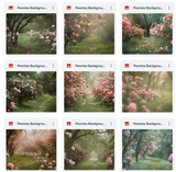 Ultimate Peonies Background Bundle