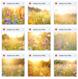 Ultimate Golden Hour Wildflowers Background Bundle