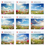 Butterfly Field Background & Overlays Asset Pack