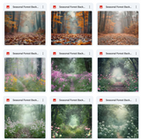 Ultimate Seasonal Forests Background Bundle