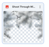 Shoot Through: Winter Pines