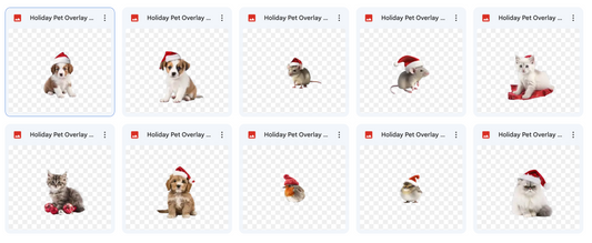 Magical Holiday Pet Overlays