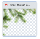 Shoot Through: Delicate Pines