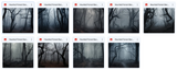 Haunted Forest Background Bundle - Meg Bitton Productions