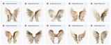 Magical Angelic Wings Overlays - Meg Bitton Productions