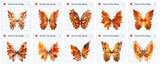 Magical Autumn Fairy Wings Overlays - Meg Bitton Productions