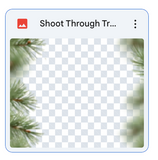 Shoot Through: Tree Farm Branches