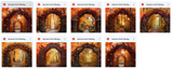 Autumn Arches Background Bundle - Meg Bitton Productions