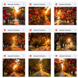 Ultimate Autumn Orchard Background Bundle