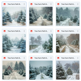 Ultimate Tree Farm Paths Background Bundle