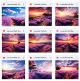Ultimate Lavender Paths Background Bundle