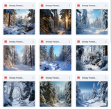 Ultimate Snowy Forest Background Bundle
