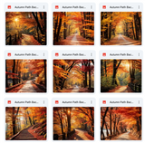 Ultimate Autumn Path Background Bundle