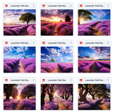 Ultimate Lavender Paths Background Bundle