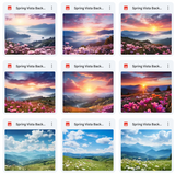 Ultimate Spring Vistas Background Bundle